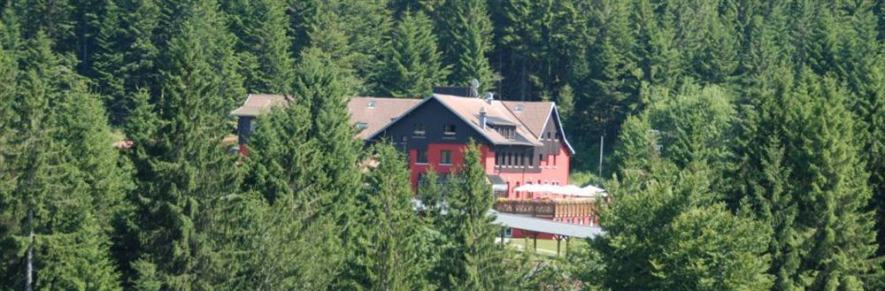 Hotel Restaurant Spa Les Jardins De Sophie Xonrupt-Longemer Zewnętrze zdjęcie